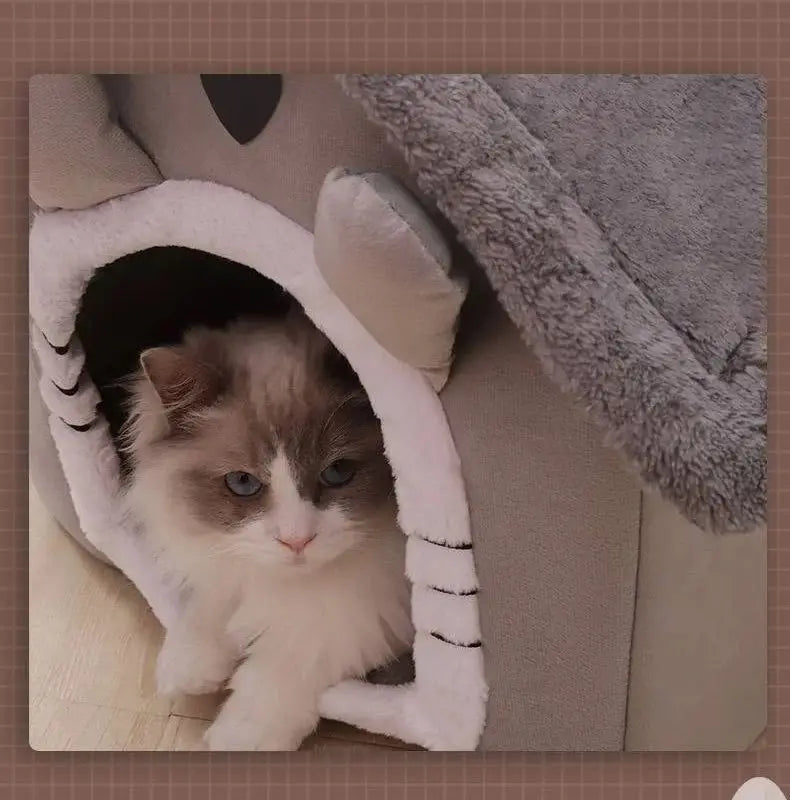Cat ore Dog House